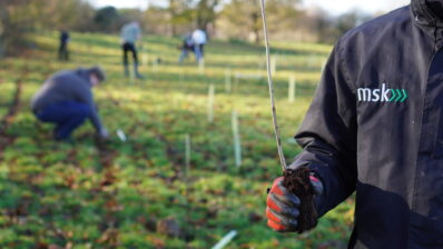 Growing a Greener Future: 8build Partners with MSK to Combat Climate Change